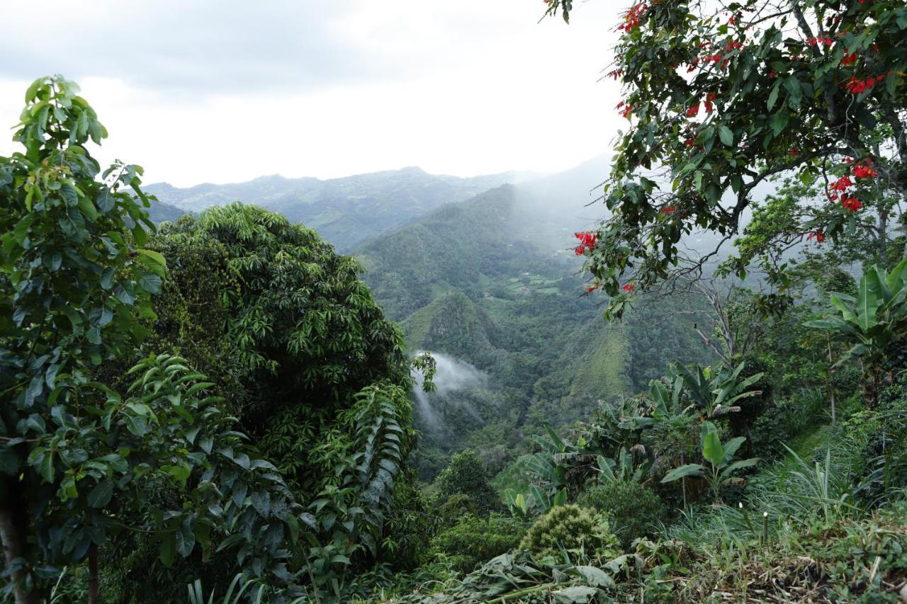 Ecohotel Monteverde La Vega  Exteriör bild