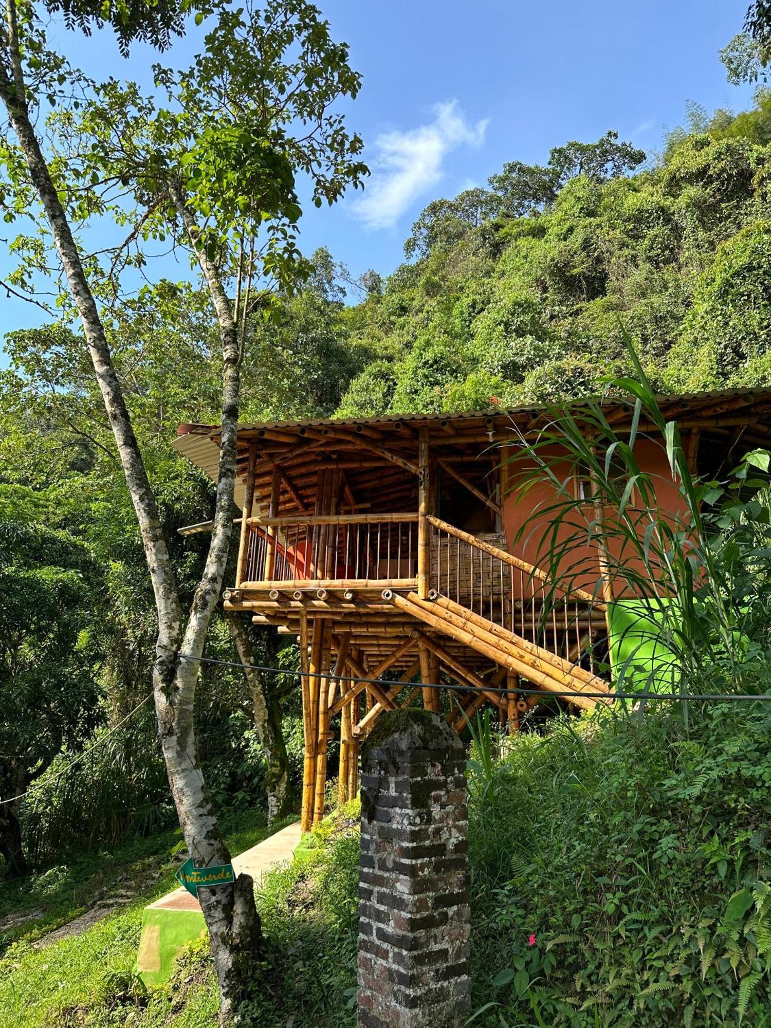 Ecohotel Monteverde La Vega  Exteriör bild