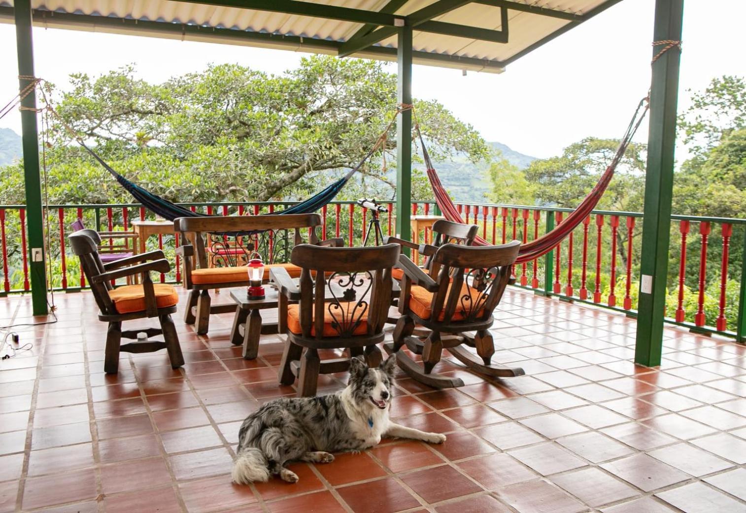 Ecohotel Monteverde La Vega  Exteriör bild