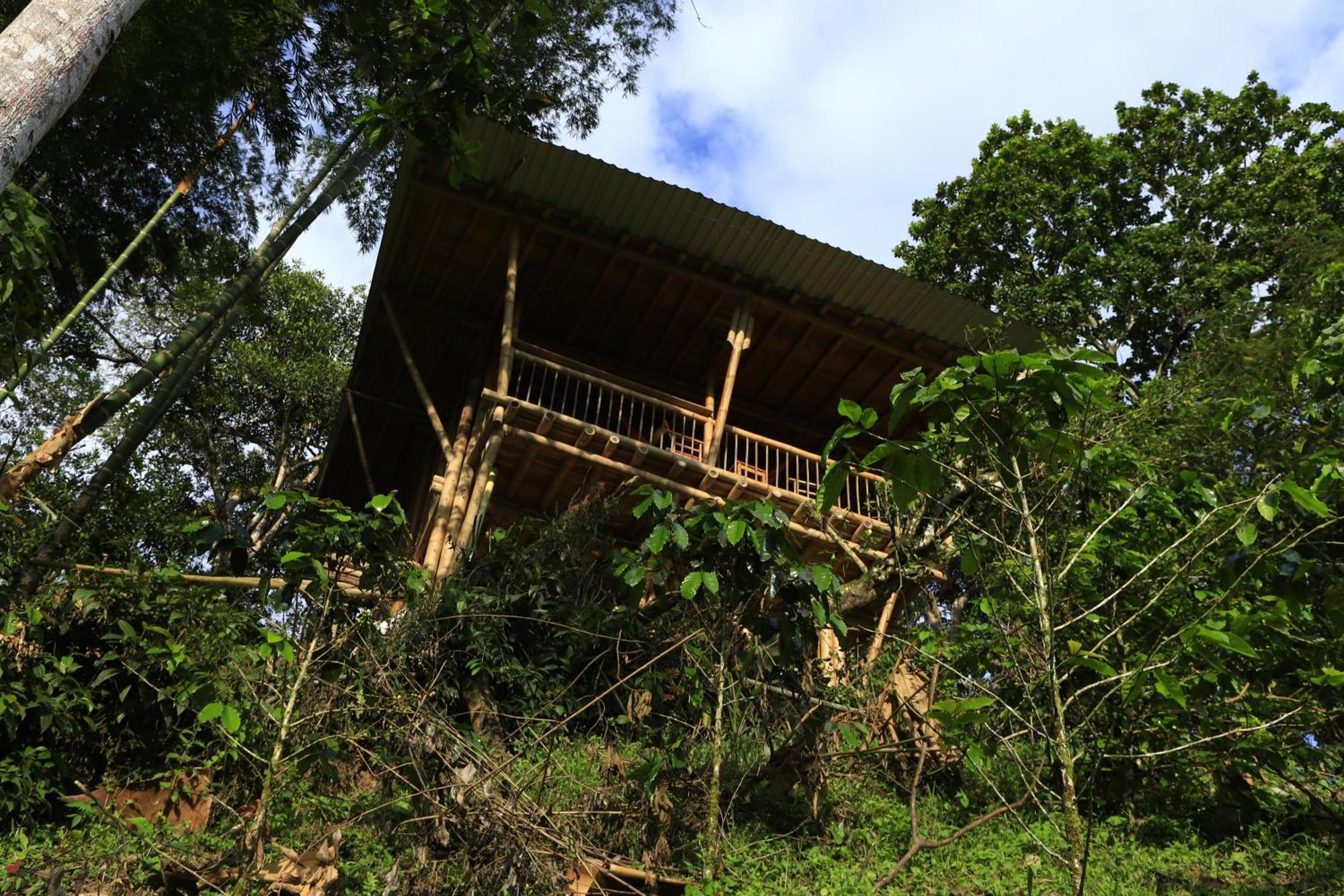 Ecohotel Monteverde La Vega  Exteriör bild