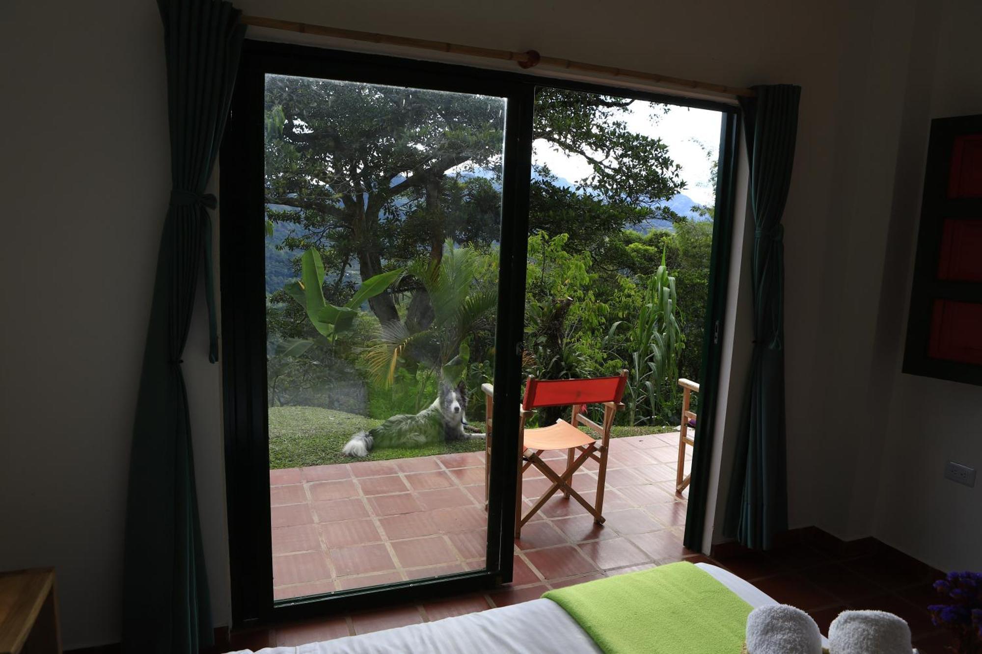 Ecohotel Monteverde La Vega  Exteriör bild